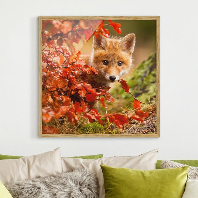 decoraçao cozinha Fox In Autumn