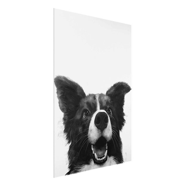 Quadros em vidro em preto e branco Illustration Dog Border Collie Black And White Painting