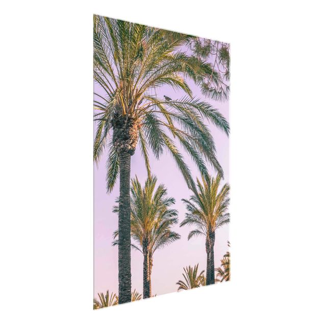 Quadros em vidro flores Palm Trees At Sunset