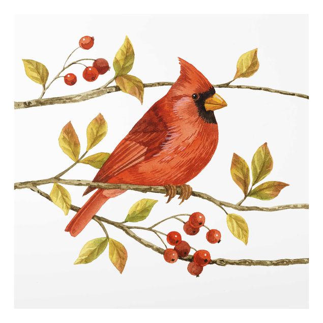quadros para parede Birds And Berries - Northern Cardinal