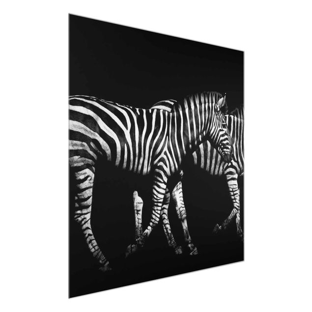 Quadros em vidro animais Zebra In The Dark