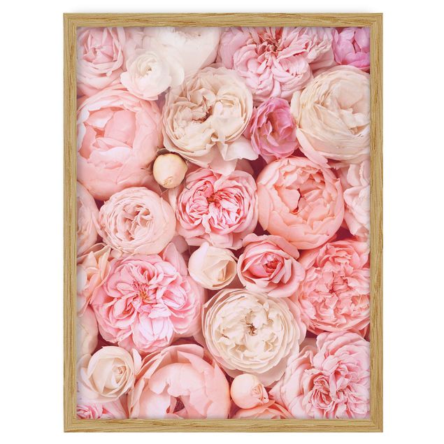 quadros de flores Roses Rosé Coral Shabby