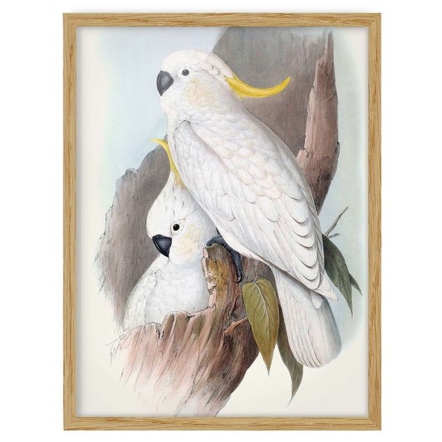 Quadros modernos Pastel Parrots III