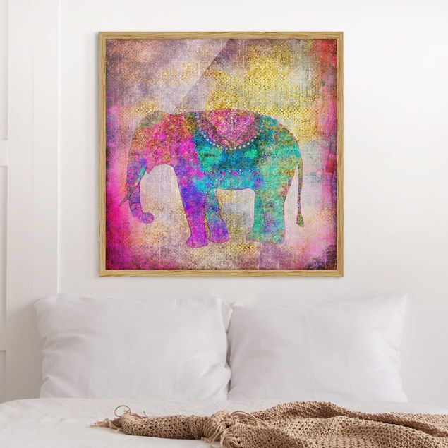 decoraçoes cozinha Colourful Collage - Indian Elephant