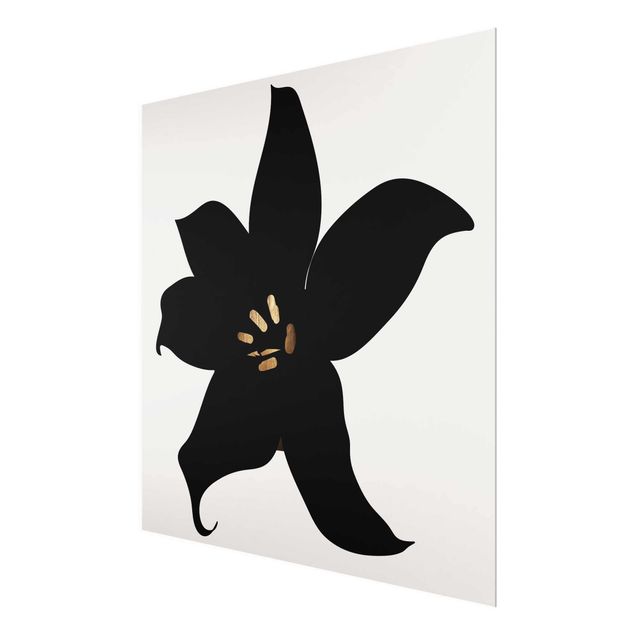 Quadros em vidro em preto e branco Graphical Plant World - Orchid Black And Gold