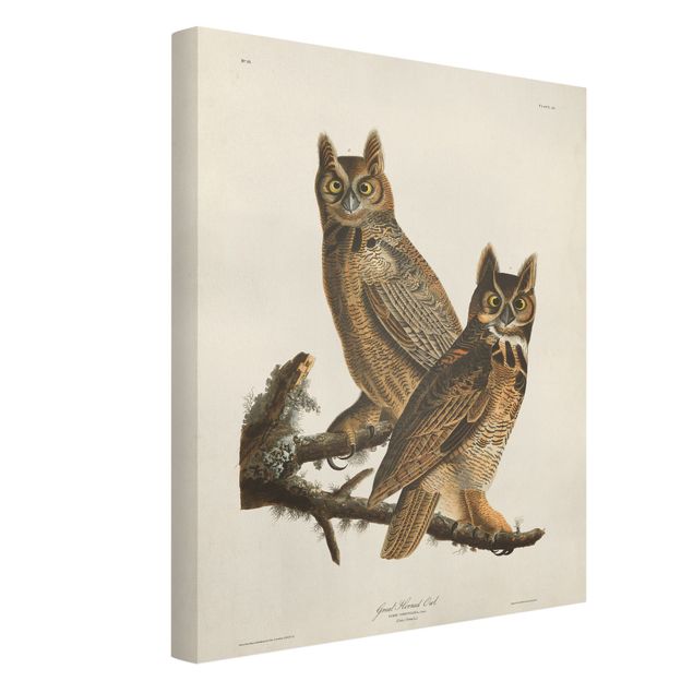 Telas decorativas animais Vintage Board Two Large Owls