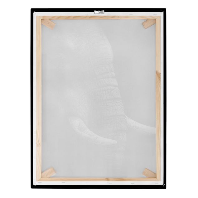 Telas decorativas animais Dark Elephant Portrait
