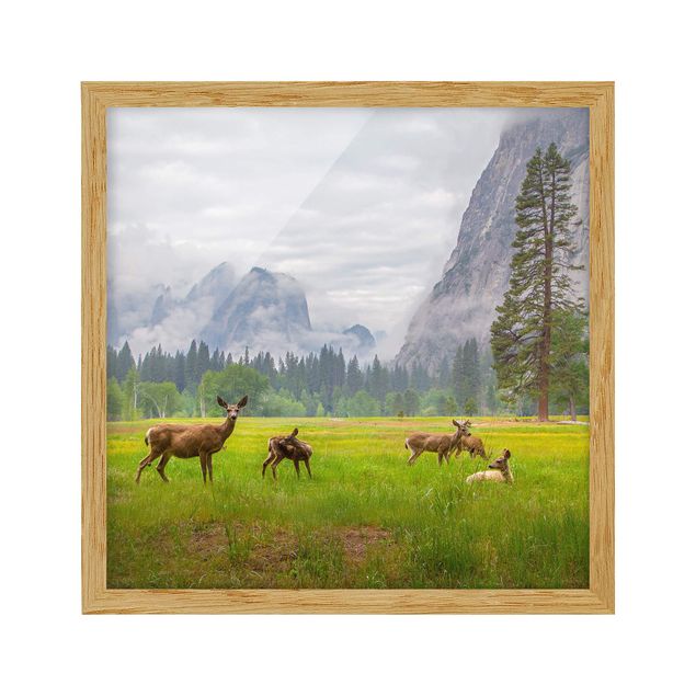 Quadros com moldura paisagens Deer In The Mountains