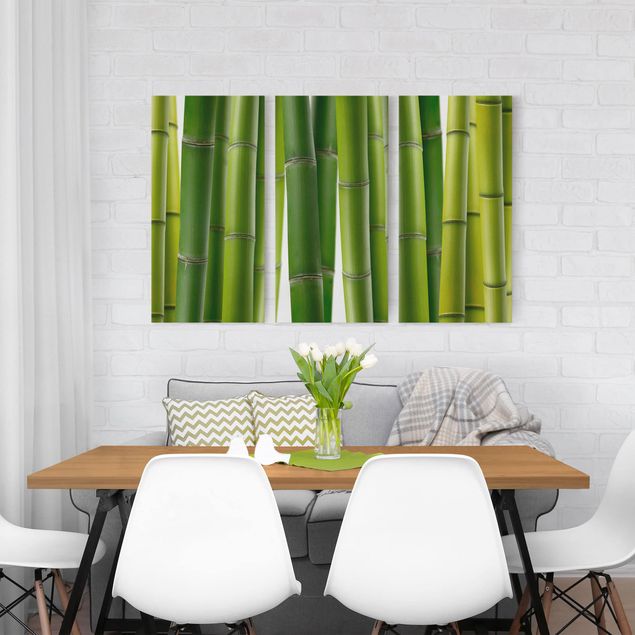 Telas decorativas bambu Bamboo Plants