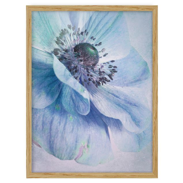quadros de flores Flower In Turquoise