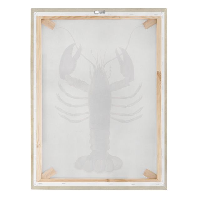 telas decorativas para paredes Vintage Illustration Lobster