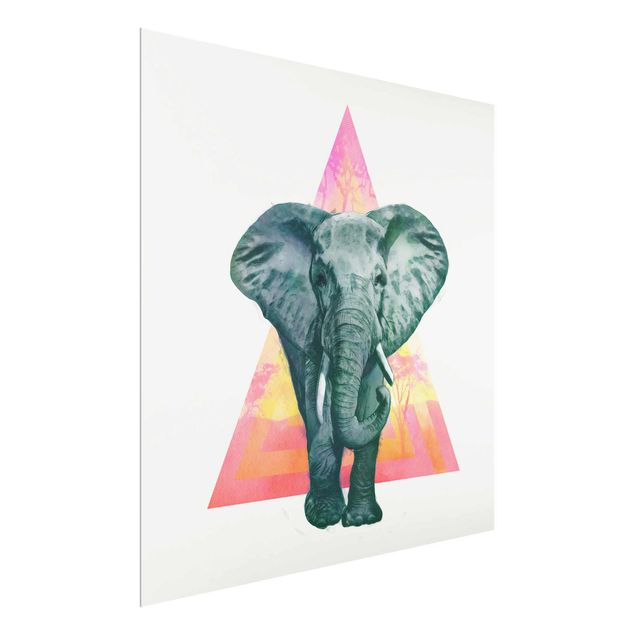Quadros em vidro animais Illustration Elephant Front Triangle Painting