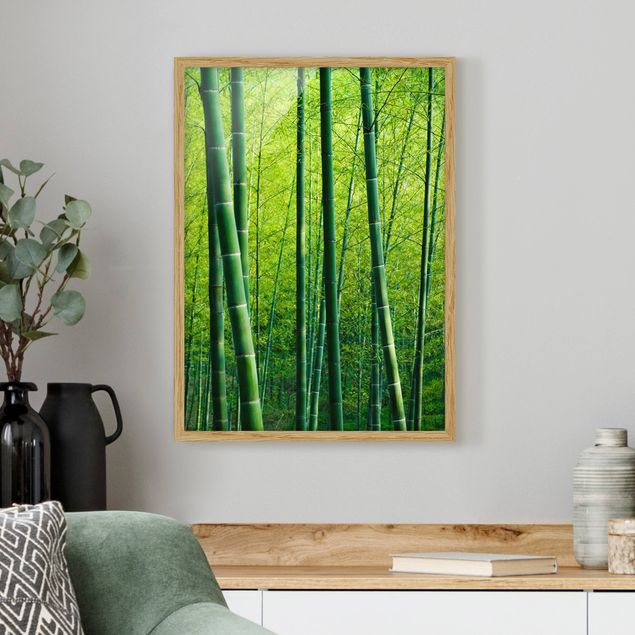 quadro de árvore Bamboo Forest