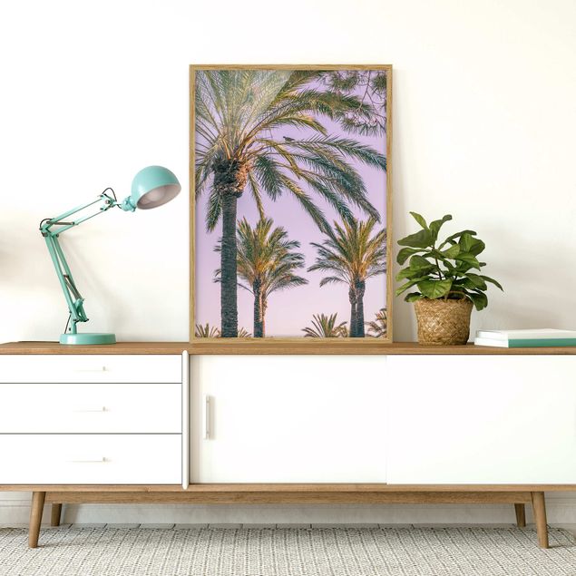 quadro com paisagens Palm Trees At Sunset