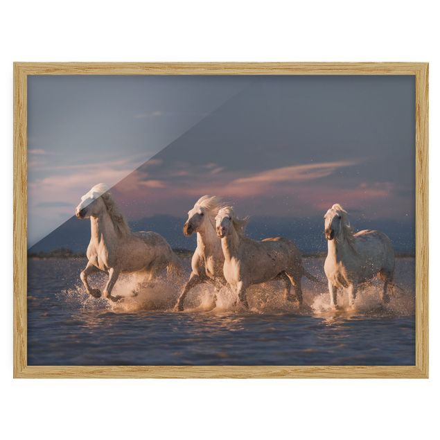 quadros modernos para quarto de casal Wild Horses In Kamargue