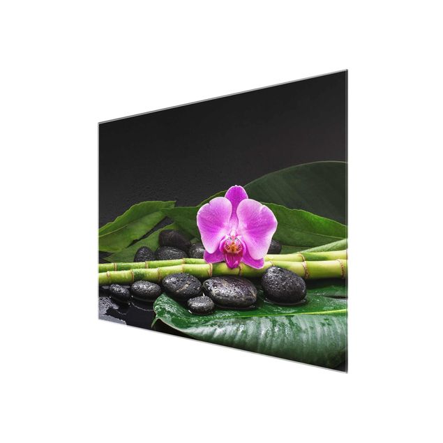 Quadros florais Green Bamboo With Orchid Flower