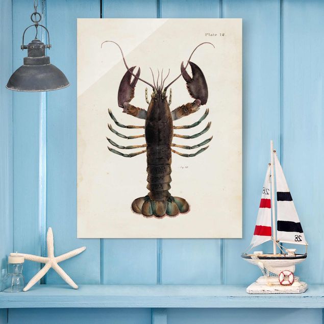 decoraçao cozinha Vintage Illustration Lobster