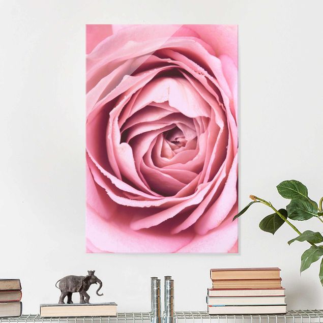 quadro em vidro Pink Rose Blossom