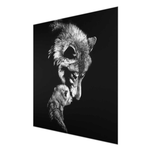 decoração quadros Wolf In The Dark