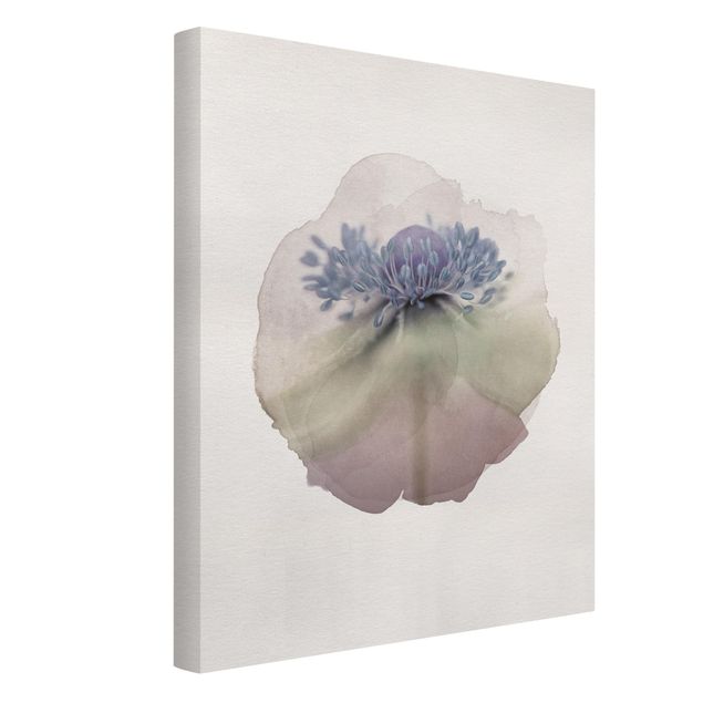 quadros flores WaterColours - Anemone In Violet