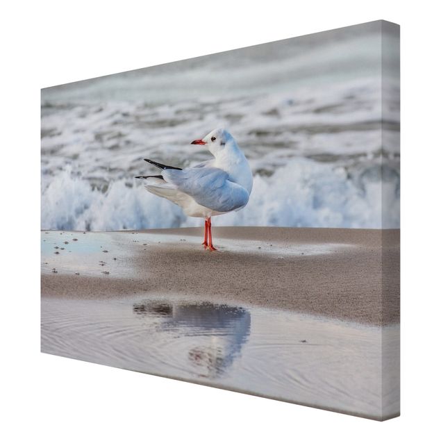 Telas decorativas réplicas de quadros famosos Seagull On The Beach In Front Of The Sea