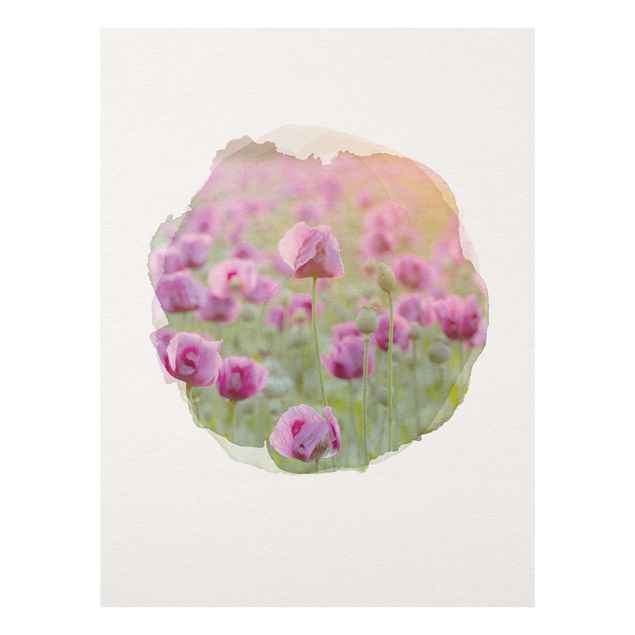 Quadros em vidro flores WaterColours - Violet Poppy Flowers Meadow In Spring