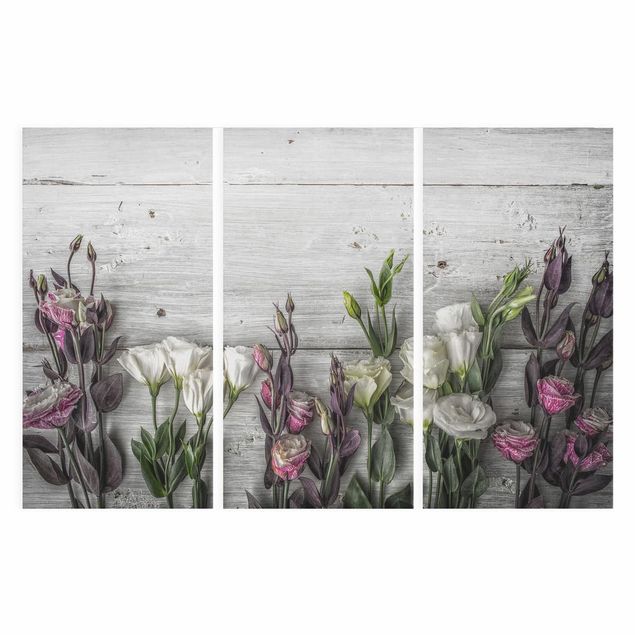 quadros de flores Tulip Rose Shabby Wood Look