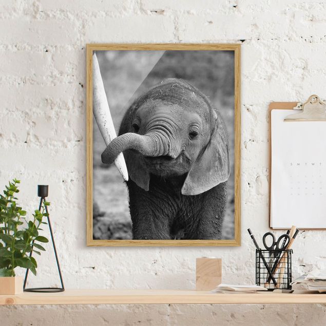 Decoração para quarto infantil Baby Elephant