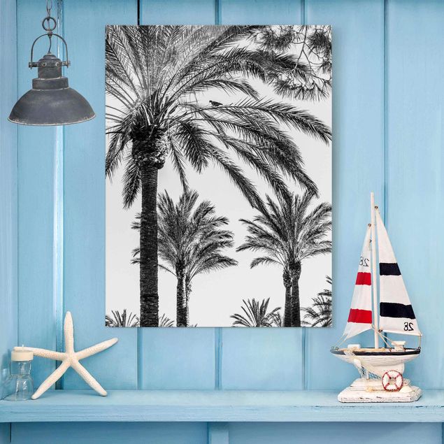 decoraçoes cozinha Palm Trees At Sunset Black And White