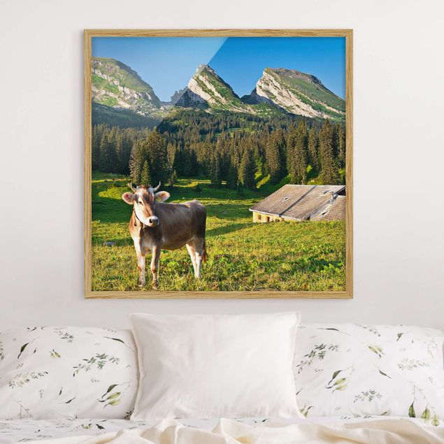 Quadros Suíça Swiss Alpine Meadow With Cow