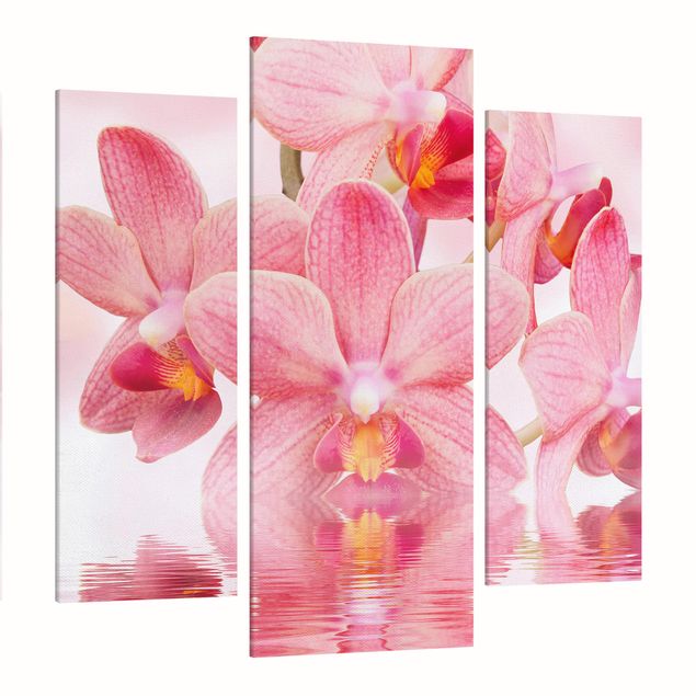 Telas decorativas flores Light Pink Orchid On Water