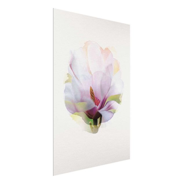 Quadros florais WaterColours - Delicate Magnolia Blossom