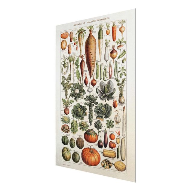 decoração quadros Vintage Board Vegetables