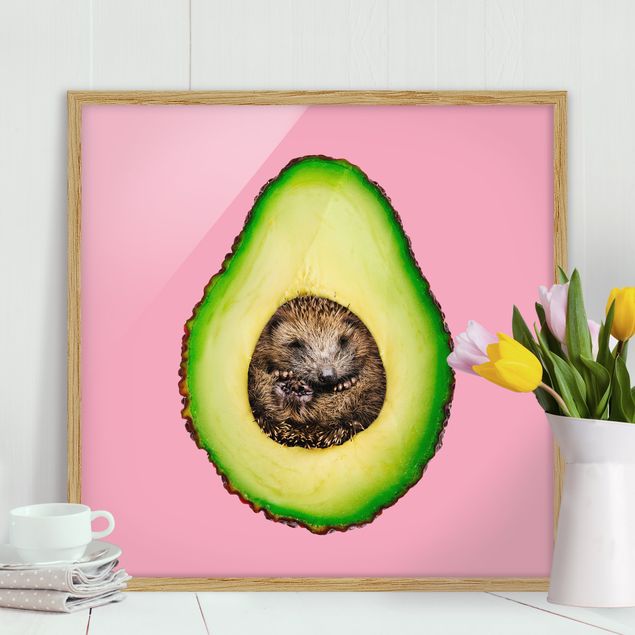 decoraçao cozinha Avocado With Hedgehog