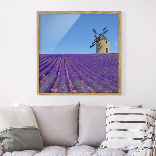 quadros de paisagens Lavender Scent In The Provence