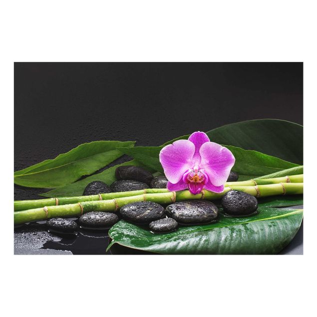 Quadros em vidro flores Green Bamboo With Orchid Flower