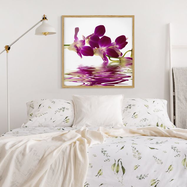 Quadros com moldura flores Pink Orchid Waters