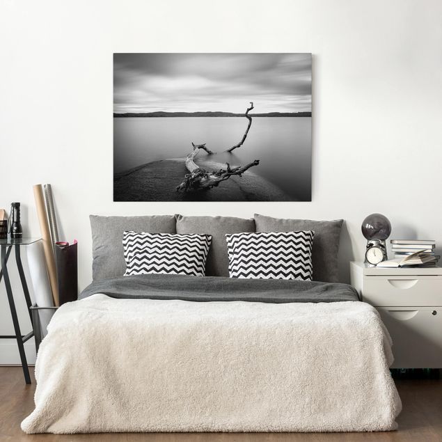 quadro com paisagens Sunset In Black And White By The Lake