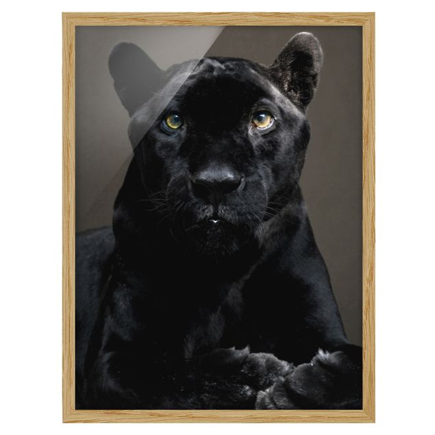 quadro animais quarto bebé Black Puma