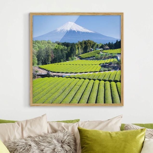 Quadros árvores Tea Fields In Front Of The Fuji