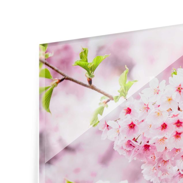 decoração quadros Japanese Cherry Blossoms