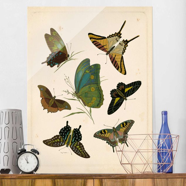 decoraçao para parede de cozinha Vintage Illustration Exotic Butterflies