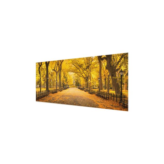 quadros decorativos para sala modernos Autumn In Central Park