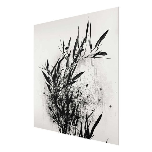 Quadros em vidro em preto e branco Graphical Plant World - Black Bamboo
