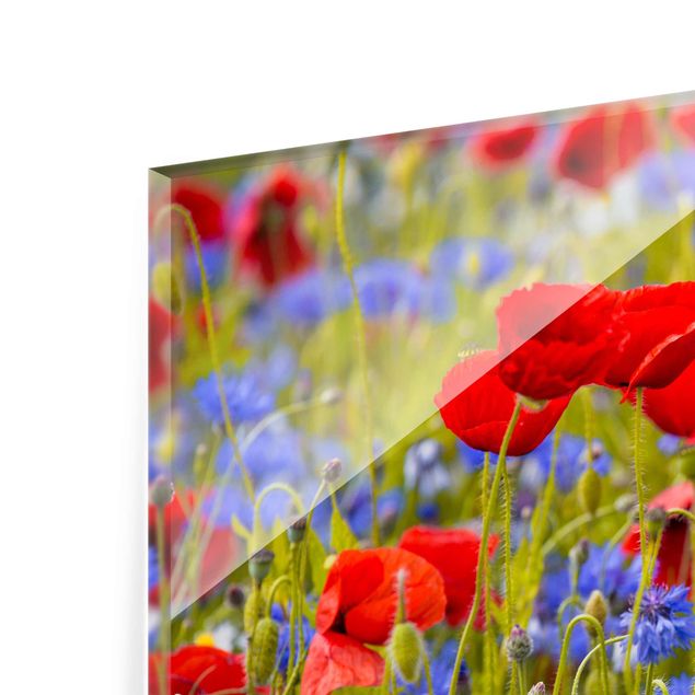 Quadros vermelhos Summer Meadow With Poppies And Cornflowers