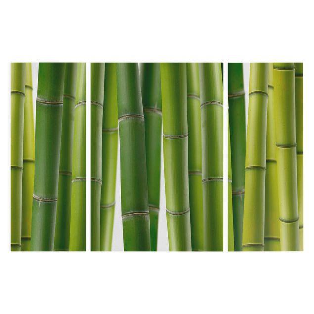 quadros de paisagens Bamboo Plants