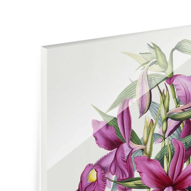 quadros flores Maxim Gauci - Orchid I