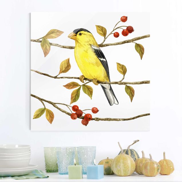 decoraçoes cozinha Birds And Berries - American Goldfinch