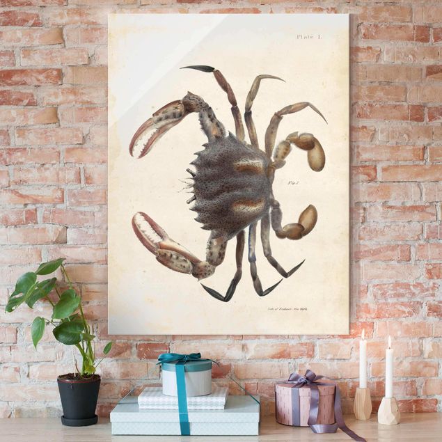 decoraçao para parede de cozinha Vintage Illustration Crab