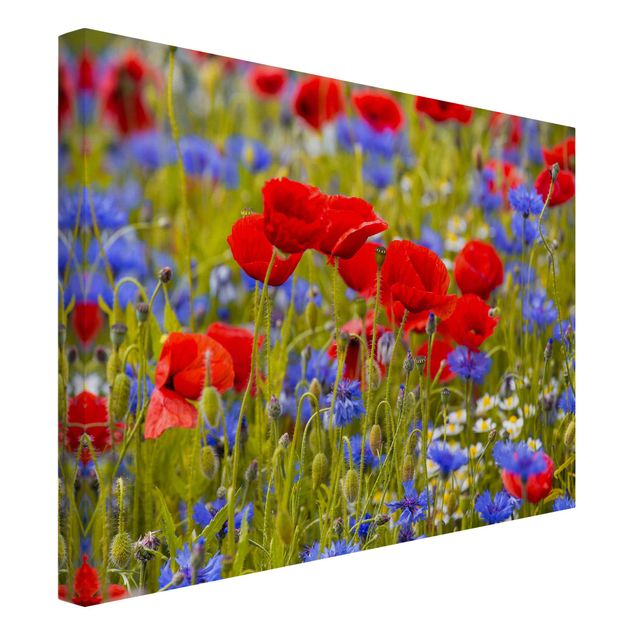 Telas decorativas réplicas de quadros famosos Summer Meadow With Poppies And Cornflowers